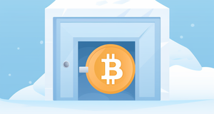 The Beginner's Guide to Crypto Cold Storage